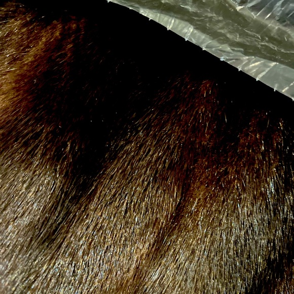 Mink Coat - Picture 2 of 5